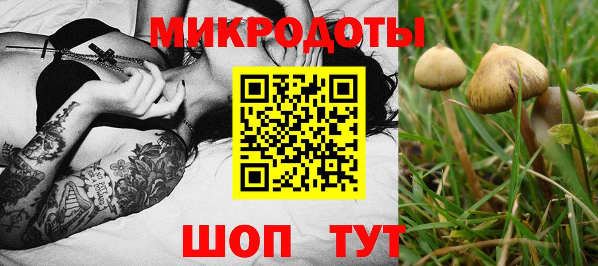 купить наркотик  Вход с VPN  Вязьма  Галлюциногенные грибы прущие грибы  Галлюциногенные грибы MAGIC MUSHROOMS 